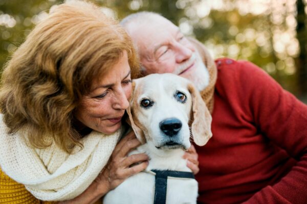 Estate Planning for Pet Owners: Protecting Your Furry Family Members