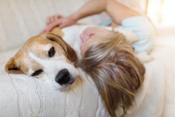 Safeguarding Your Beloved Pets: Addressing Pet Care in Your Estate Plan